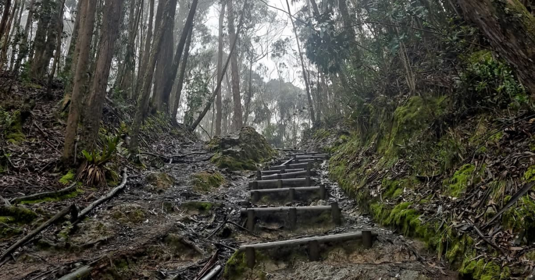 Bogotá: Pasos para reservar visita en el sendero Quebrada La Vieja