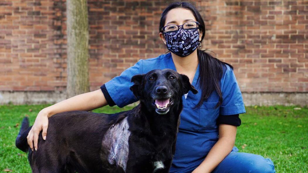 Imagen de una veterinaria del Instituto con un perro. 