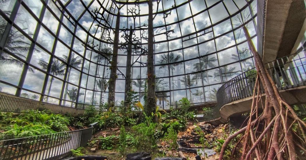 ¿Va a abrir el Tropicario del Jardín Botánico en la Semana Santa? 