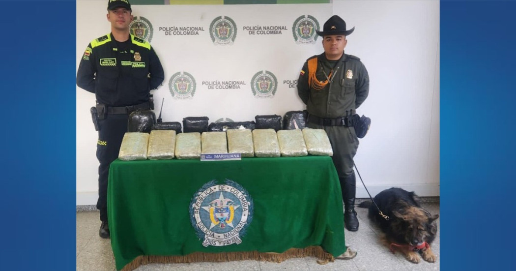 Policía incautó 21 kilos de estupefacientes en bodega de empresa de envíos 