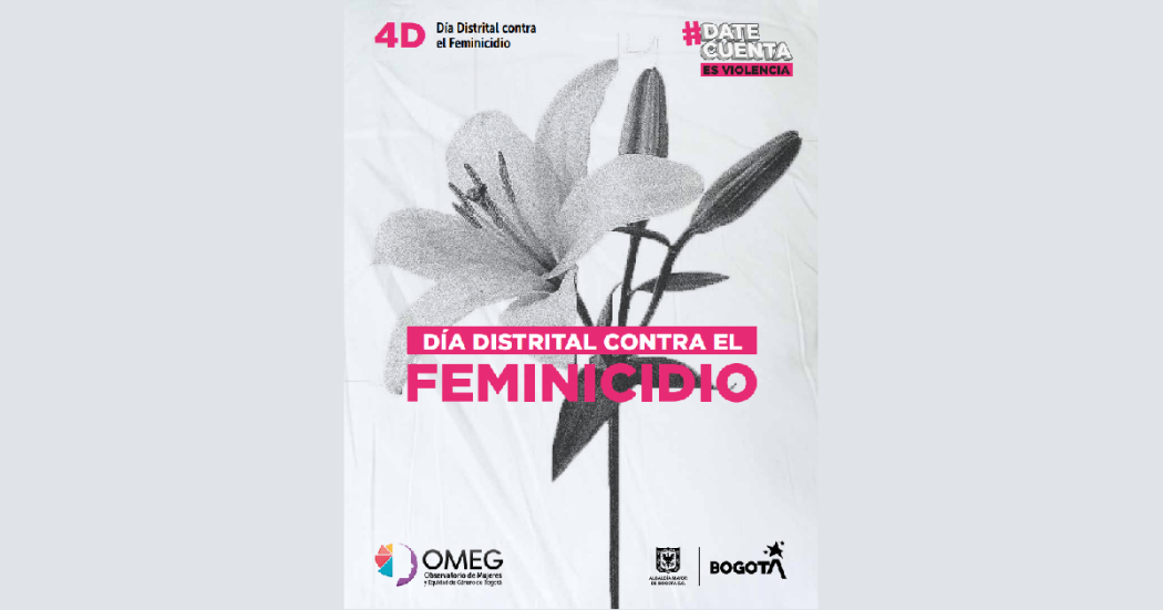 Bogotá conmemora este 4 de diciembre a mujeres víctimas de feminicidio