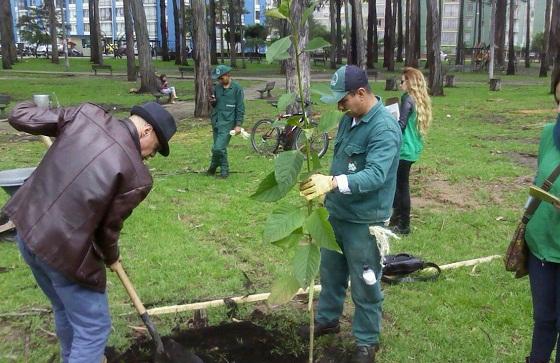 El Jardín Botánico asesora a los ciudadanos que quieran sembrar árboles.
