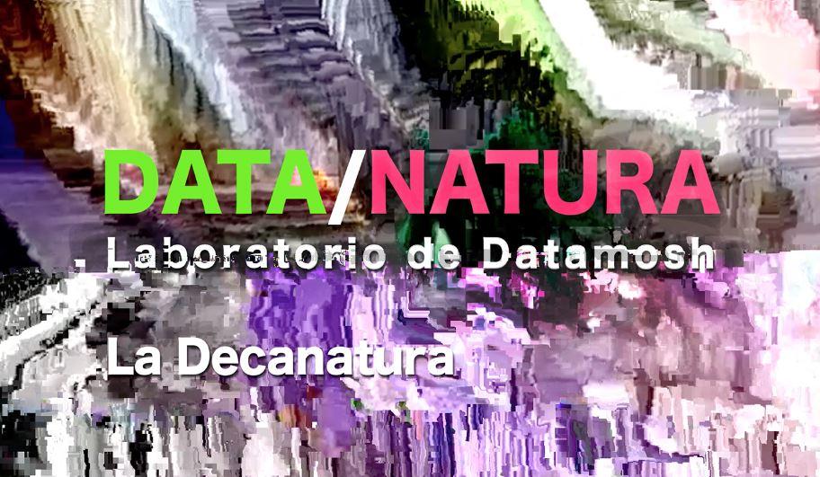 Data Natura - Foto: Plataforma Bogotá (Idartes)