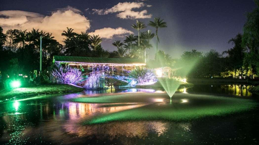 Jardín Botánico de noche