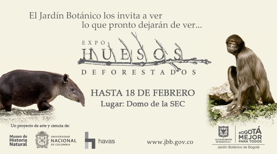 Expo Huesos - Foto: Jardín Botánico de Bogotá