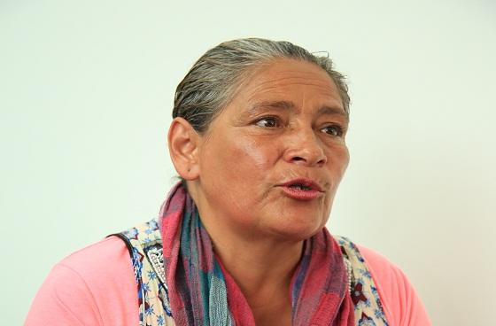  Ana Isabel Hernández - Foto: Oficina Asesora de Prena Alcaldía Mayor 