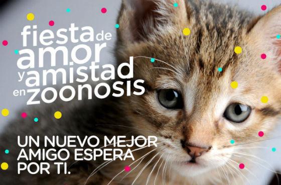 Jornada de adopción de perros y gatos - Imagen: Secretaría de Salud