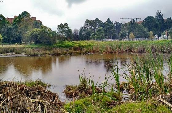 En conmemoración del día mundial del medio ambiente, administración de Barrios Unidos realizó recorrido por el humedal 'El Salitre' 