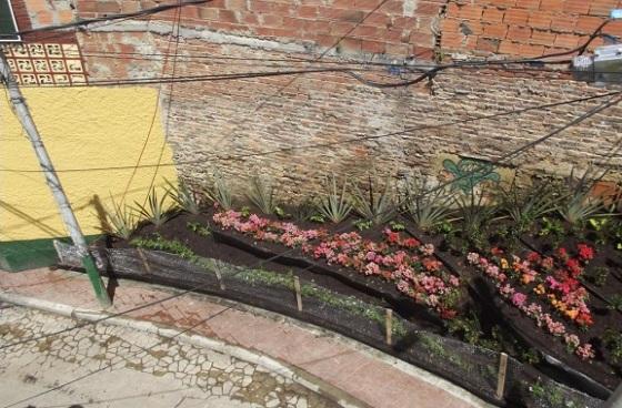 Plantan jardín en el barrio Egipto para recuperación de espacio público