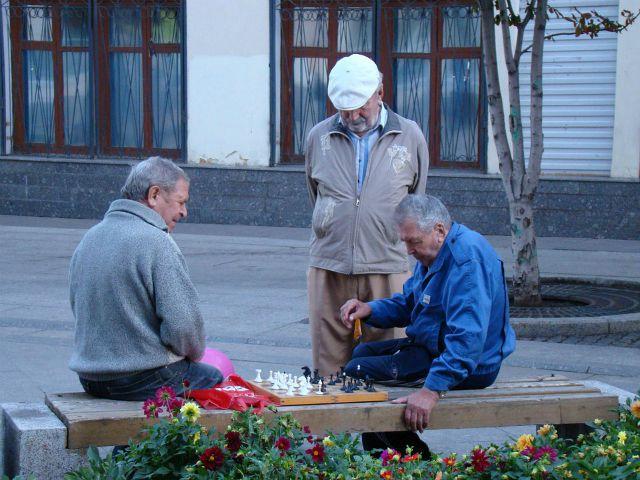 Bazar productivo para las personas mayores - Foto: Pixabay