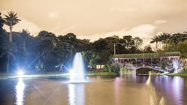 Última noche de cultura y arte del año en el Jardín Botánico. Foto: Jardín Botánico