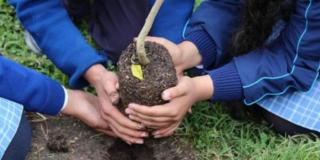  Jornadas de resaturación ecológica en la localidad de Usaquén