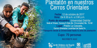 Con la plantación más grande del año se quiere recuperar los Cerros Orientales