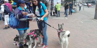 En las calles, funcionarios de Aguas Bogotá capacitan a los propietarios de animales.