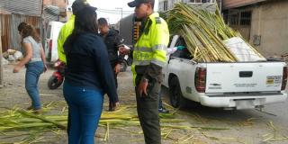Dos capturados y más de 1500 kilos de palma de vino incautados en Bogotá