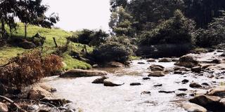 Quebrada Fucha Usme - Foto: Secretaría de Ambiente