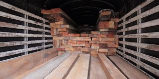 Operativo incautación de madera - Foto: Prensa Secretaría de Ambiente