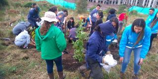 Ambiente y voluntarios han plantado árboles en los Cerros. Foto: Secretaría de Ambiente.