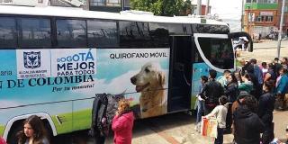 Perros y gatos agradecen operativos del Distrito contra el maltrato en el sur de Bogotá. Foto: Protección Animal