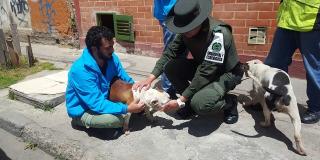 Rescate animal - FOTO: Prensa MEBOG