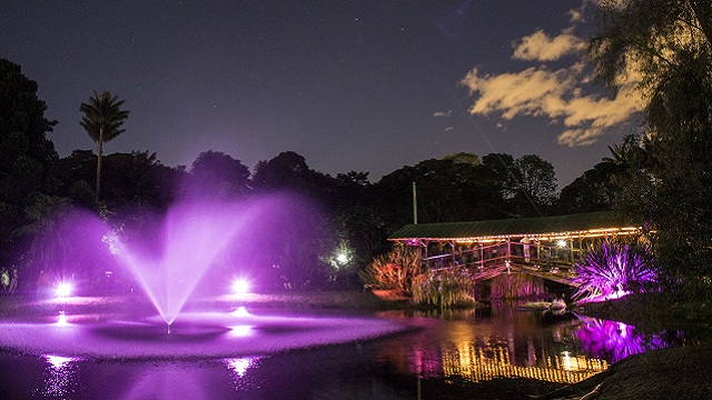 La magia de un jardín encantado nocturno en Bogotá. Foto: Jardín Botánico