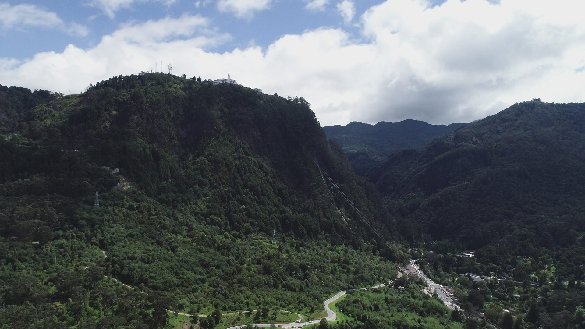 Cerros Orientales - Cobertura vegetal