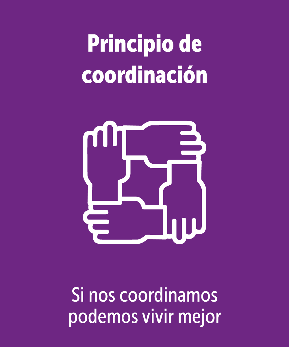 Principio de coordinación