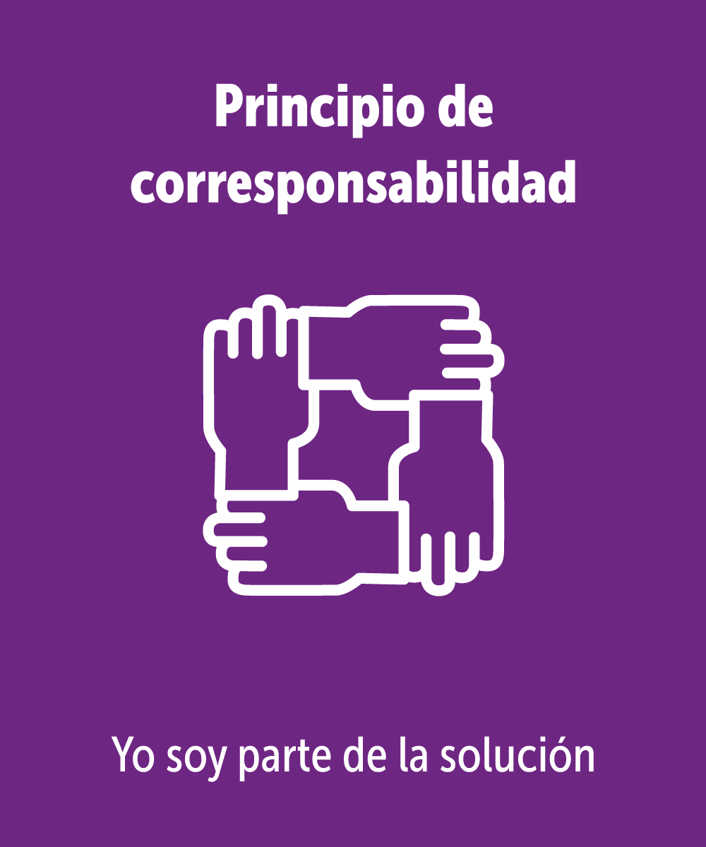 Principio de corresponsabilidad