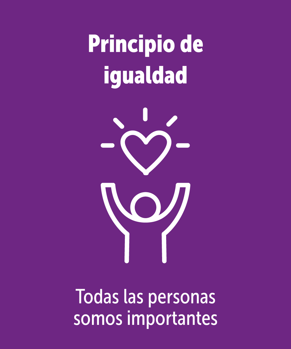 Principio de igualdad