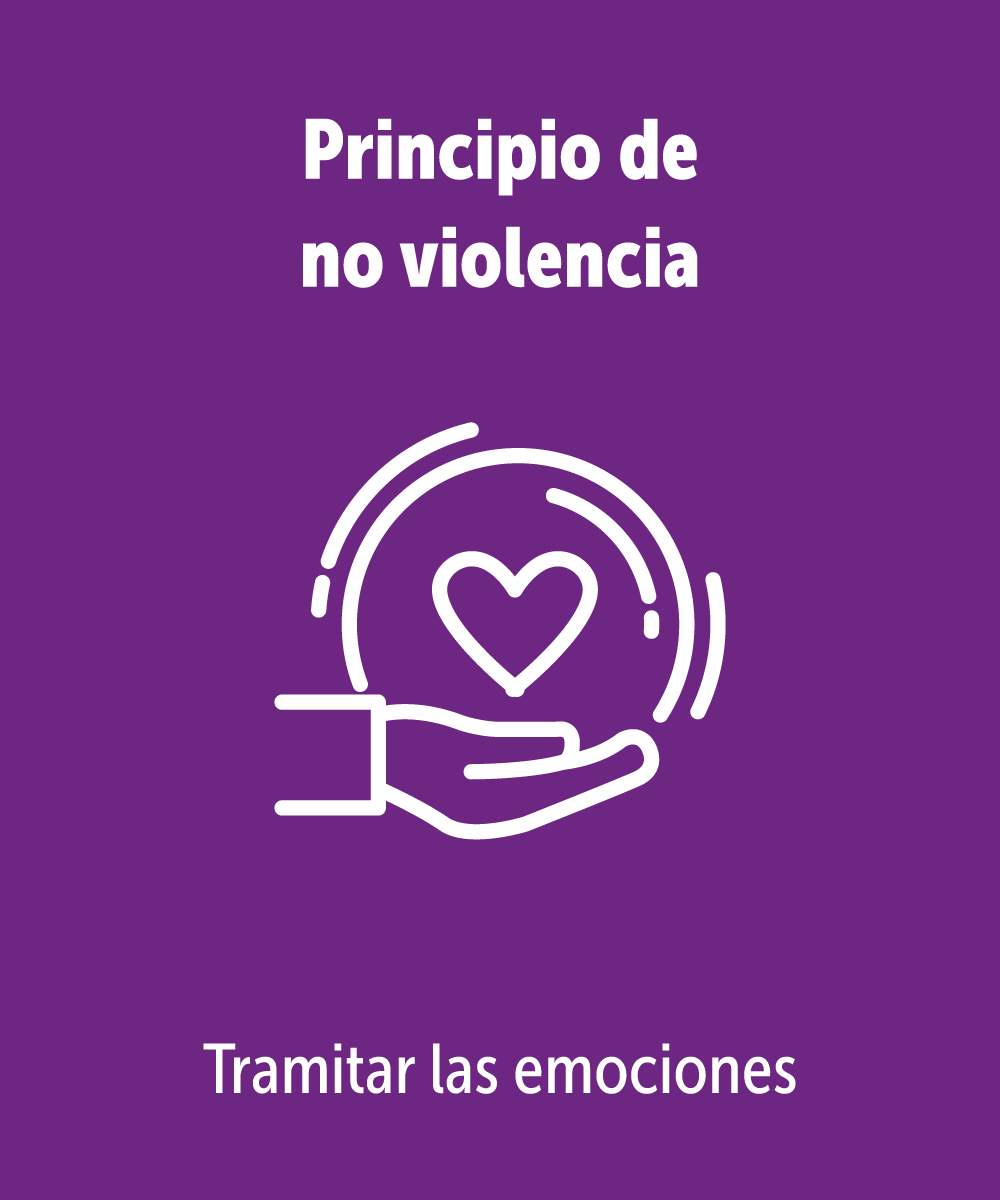Principio de no violencia