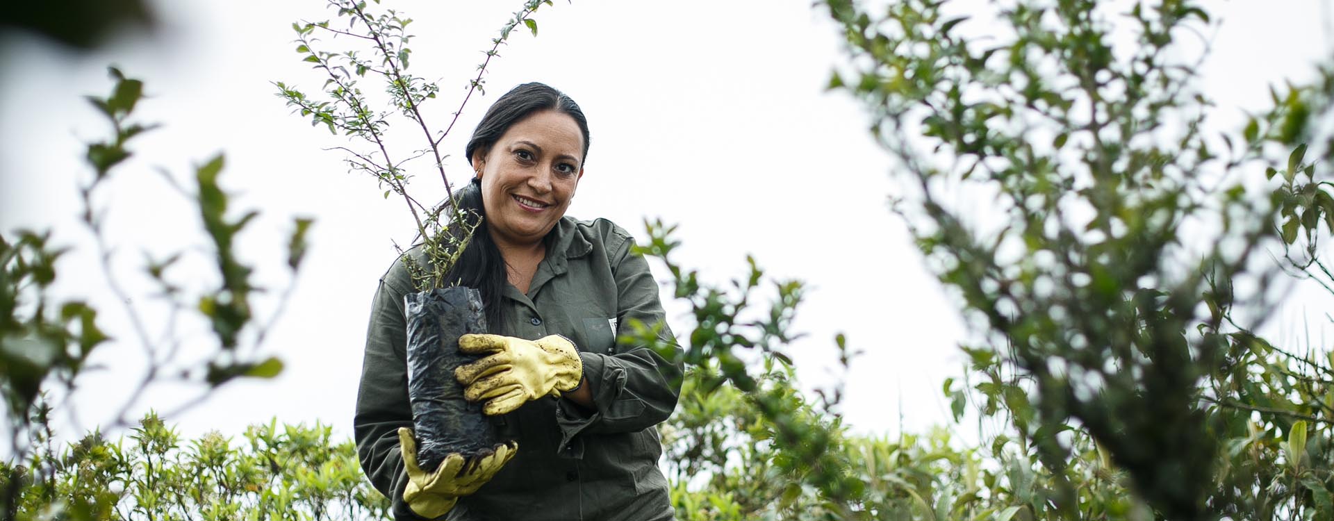 ./images/banners_carousel/Andrea Pinzón, beneficiaria del programa Mujeres que Reverdecen.