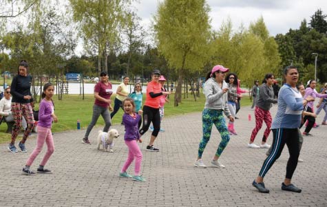 Logramos programas con enfoque de género en todas las entidades