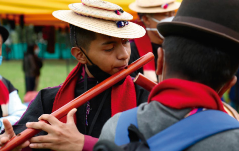 Fomentamos la protección de los Derechos Humanos en Bogotá