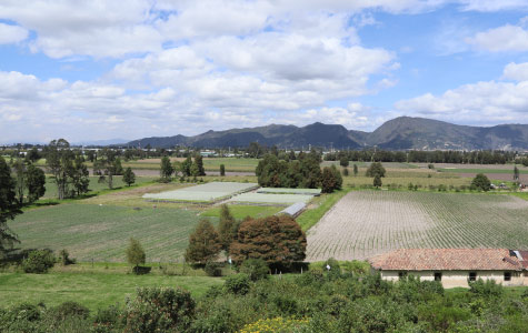 La reserva Thomas van der Hammen, conservada y protegida 