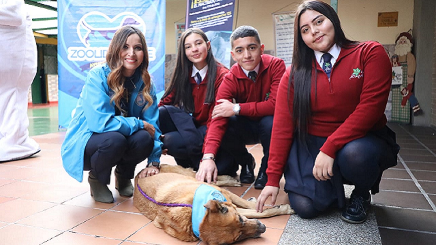 Servicio Social Animales | Bogota.gov.co