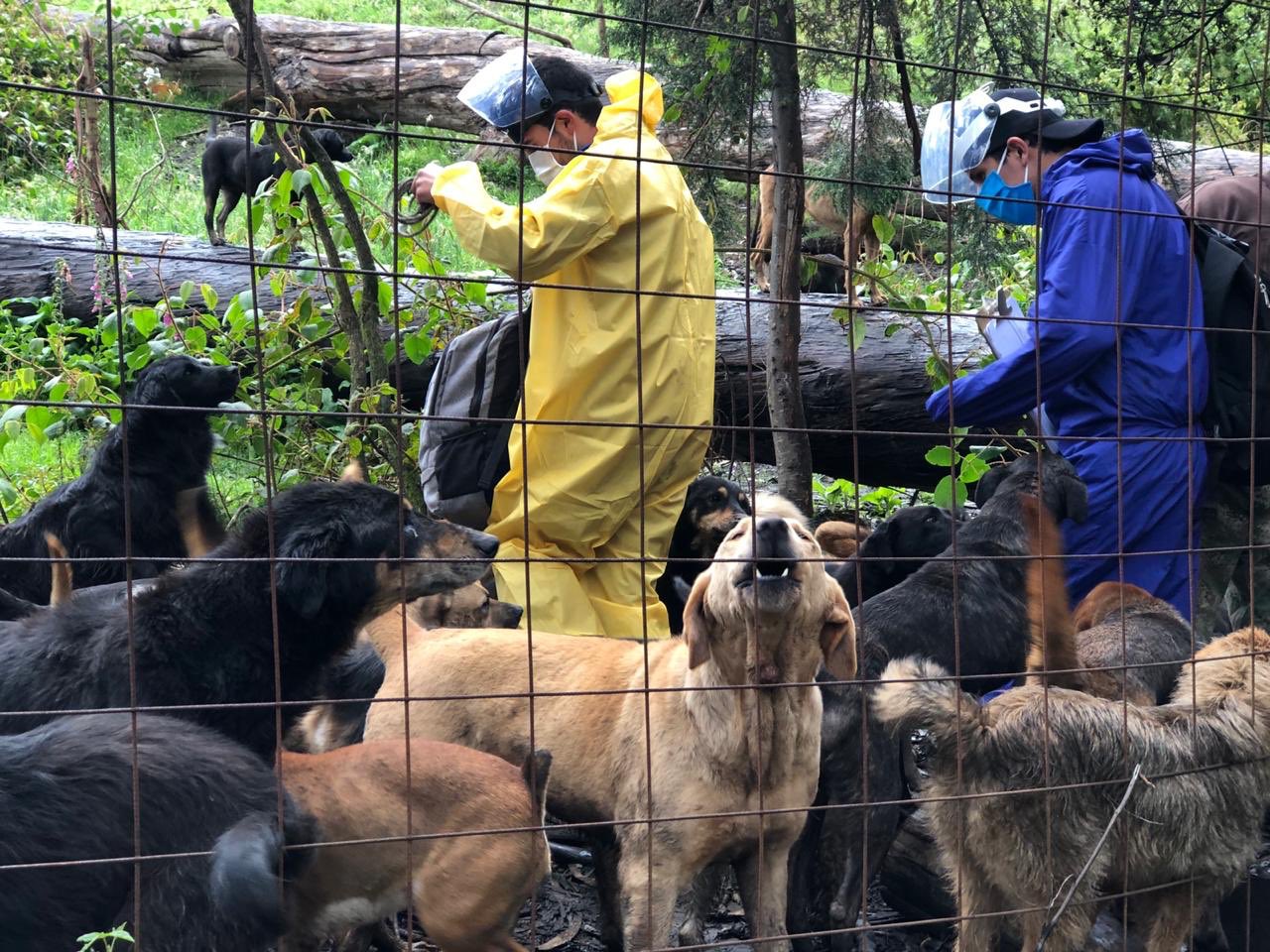 Brigada IDPYBA en Usme