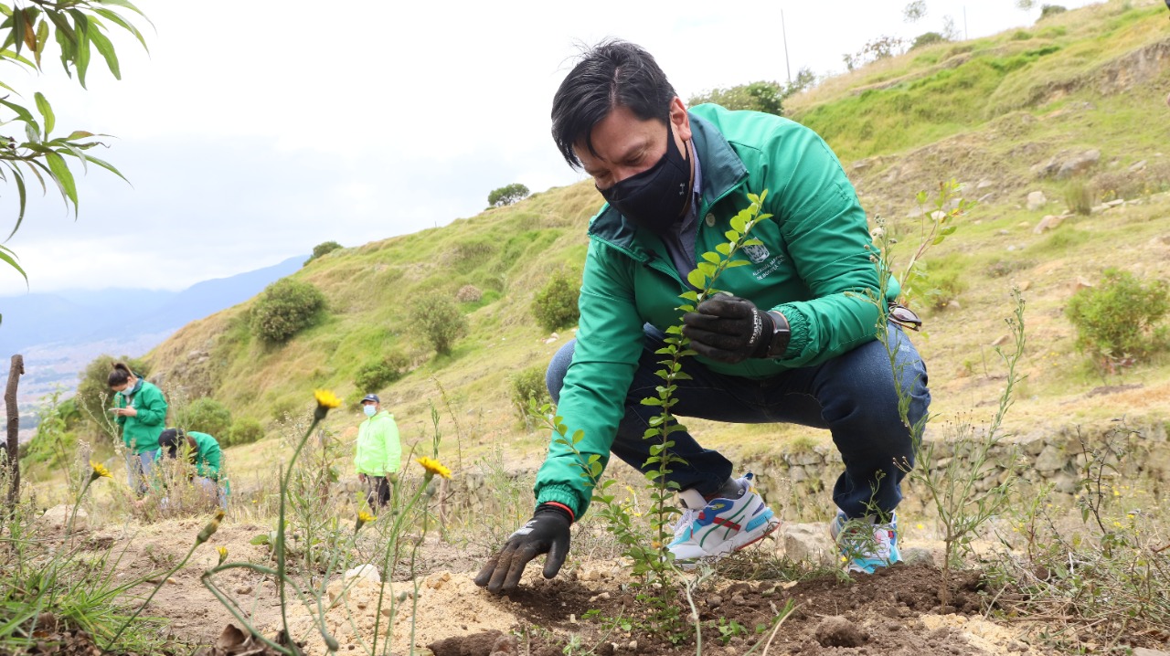 Bogotá reverdece con 150 nuevos árboles en Ciudad Bolívar | Bogota.gov.co