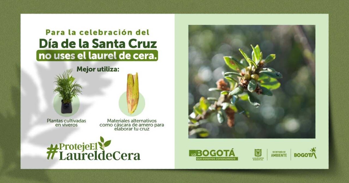 Cruz de Mayo no se debe hacer en laurel de cera Tutorial para