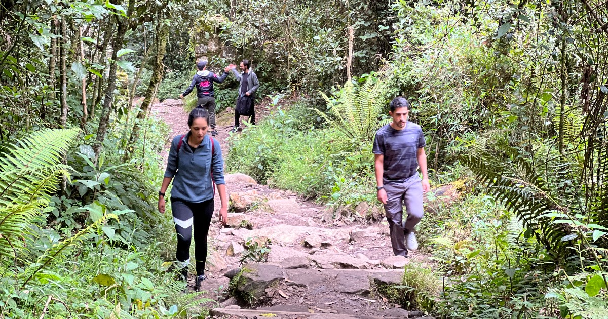 ¿cómo Agendar Visitas Gratuitas A Los Senderos De Bogotá Infórmate