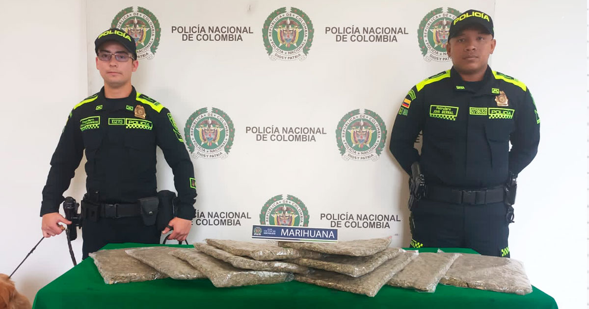 Perro policía olfateó 5.085 g de estupefaciente camuflado en El Dorado |  Bogota.gov.co