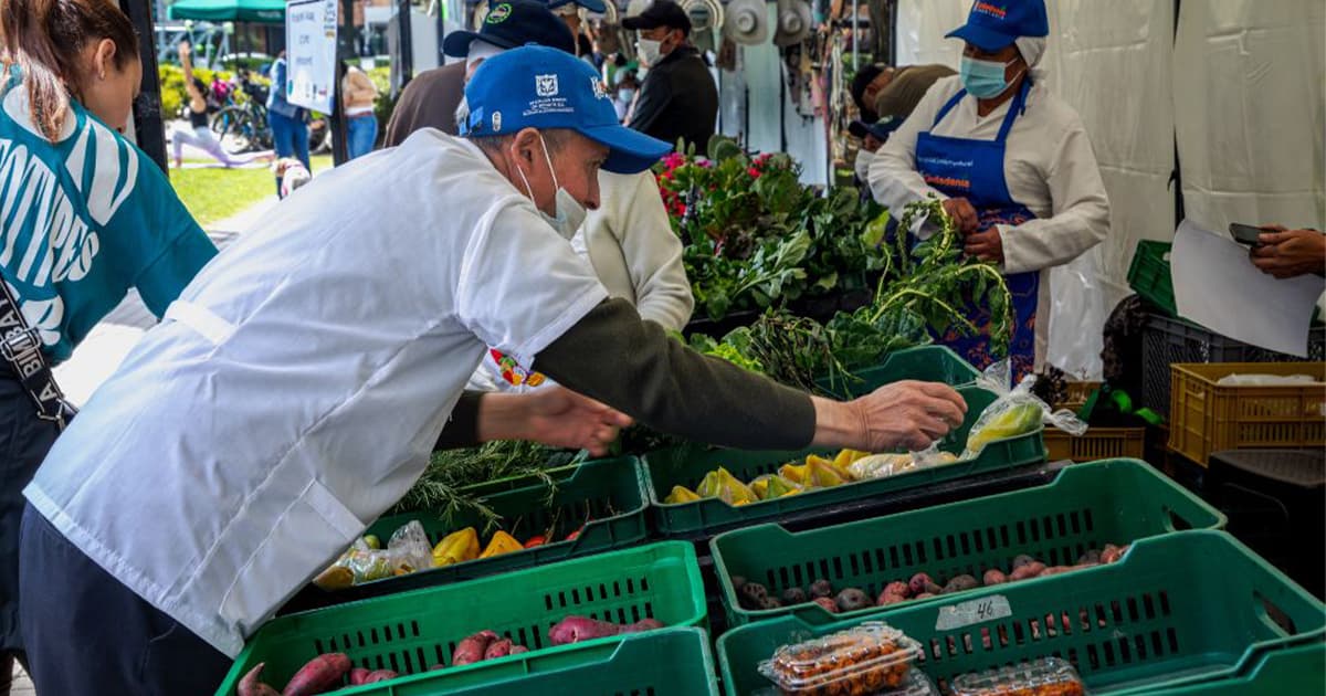 Si eres comerciante minorista en Bogotá accede a los apoyos del Distrito 