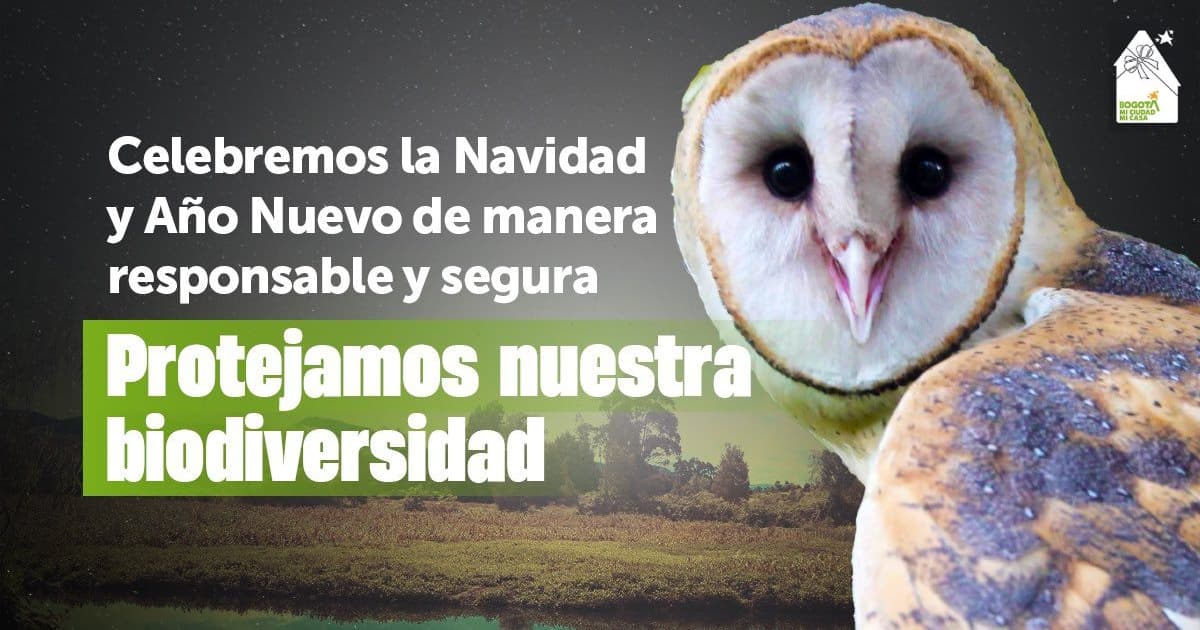 En Bogotá en Navidad decimos NO a la pólvora y protegemos la fauna