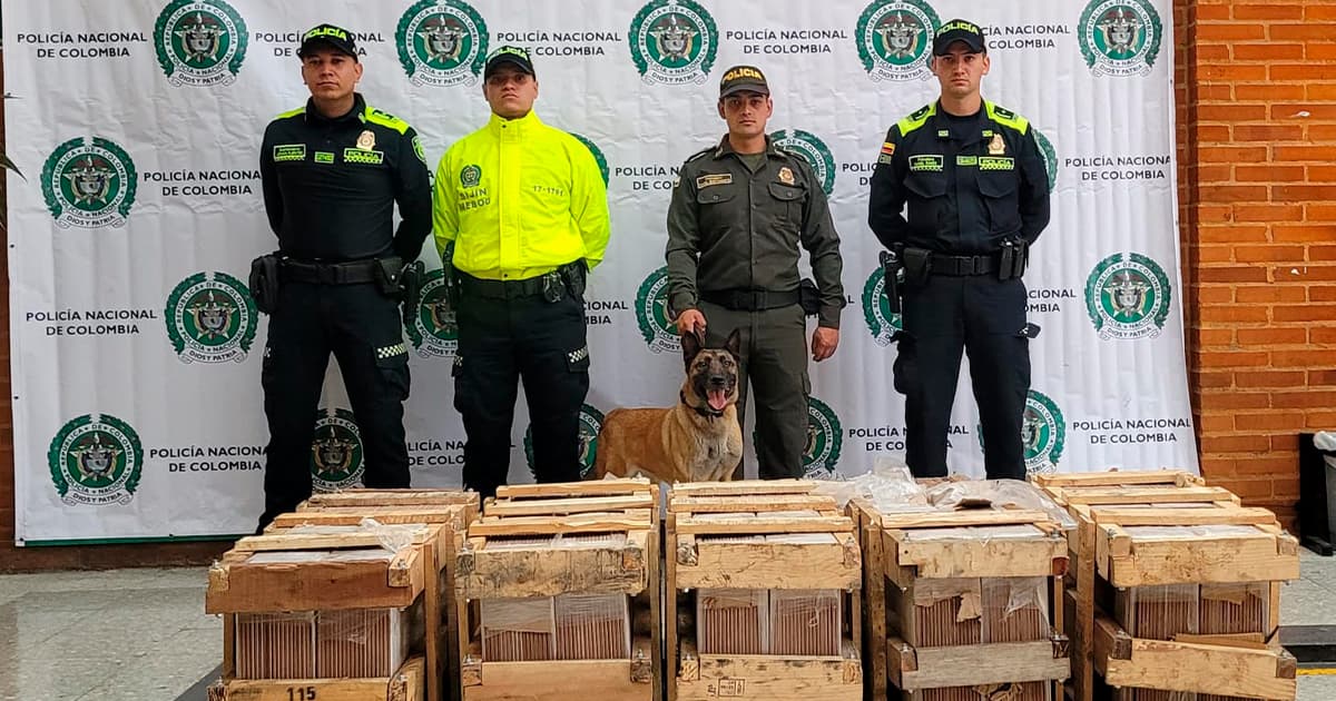 Video: Seguridad en Bogotá, incautados en El Dorodo 240 kilos de marihuana 