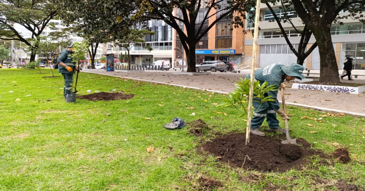 Las Aguas de Bogotá recibe regalos verdes en el preludio de la Navidad