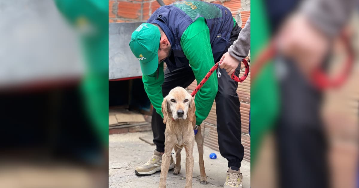 Operativo permite el rescate de perro en estado de abandono en Bogotá