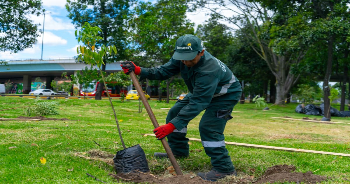 El Jardín Botánico lidera la arborización y mantenimiento en Bogotá