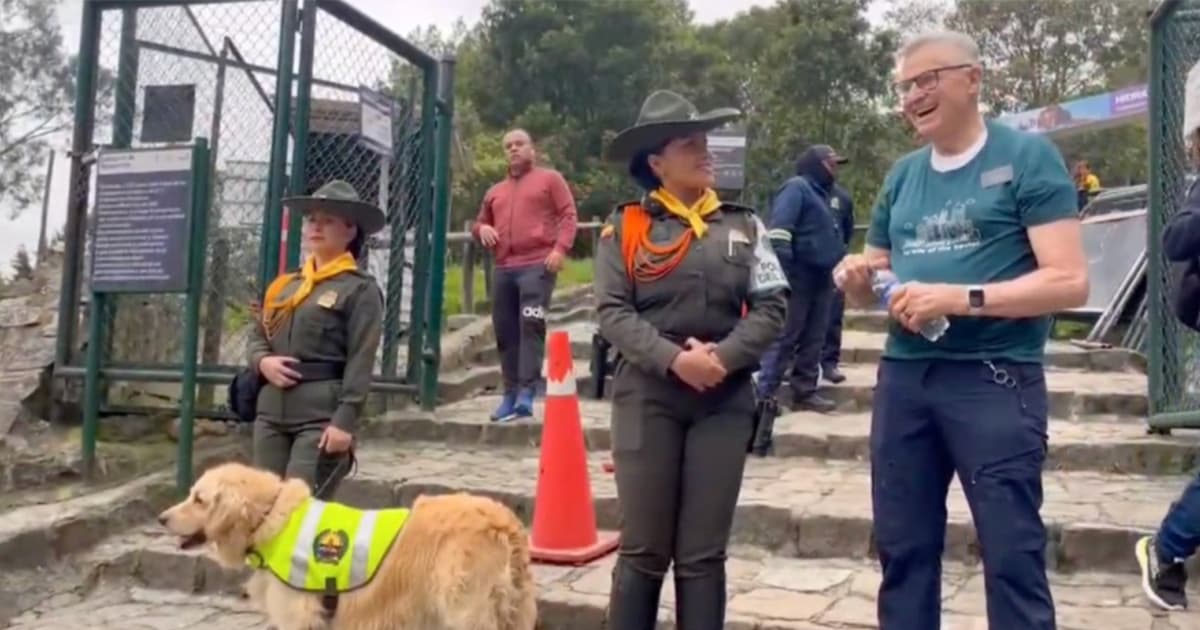 Video: 100 policías garantizarán seguridad en senderos ecológicos de Bogotá 