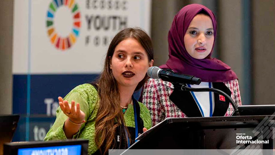 Next Generation Fellows