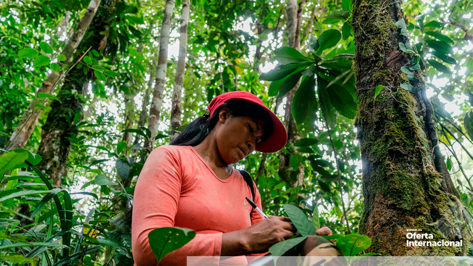 Iniciativa GEF Heart of Conservation para fortalecer la gobernanza ambiental 