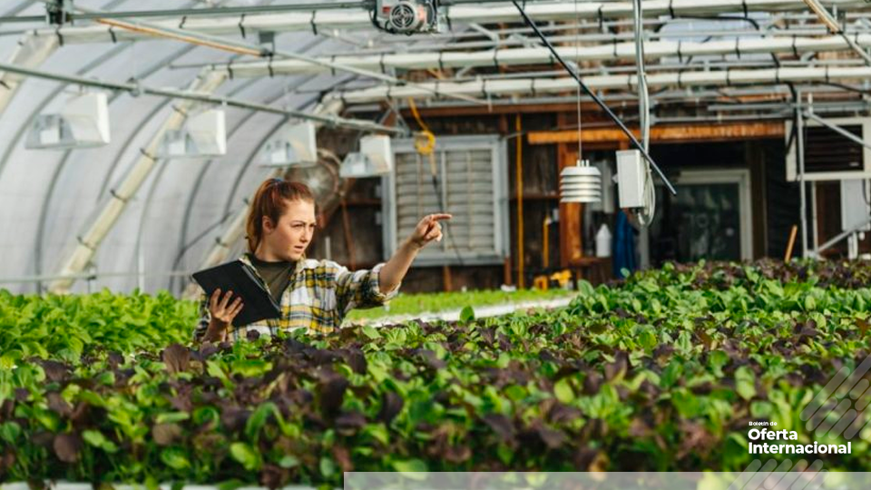 Curso de UN CC:Learn sobre liderazgo climático inclusivo